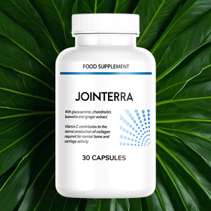 Jointerra - imagine 4